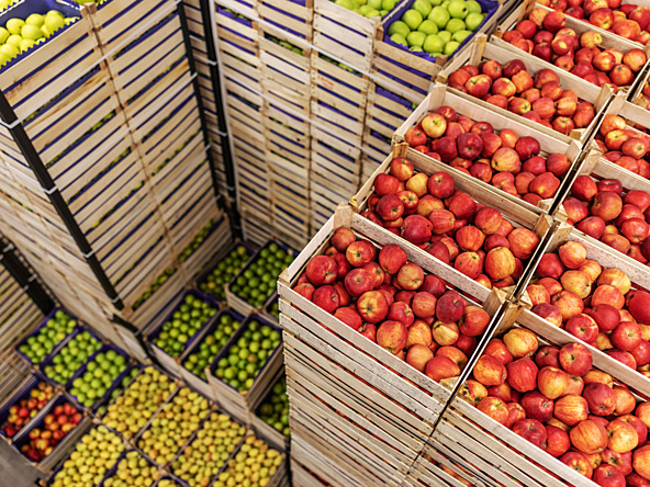 Apples